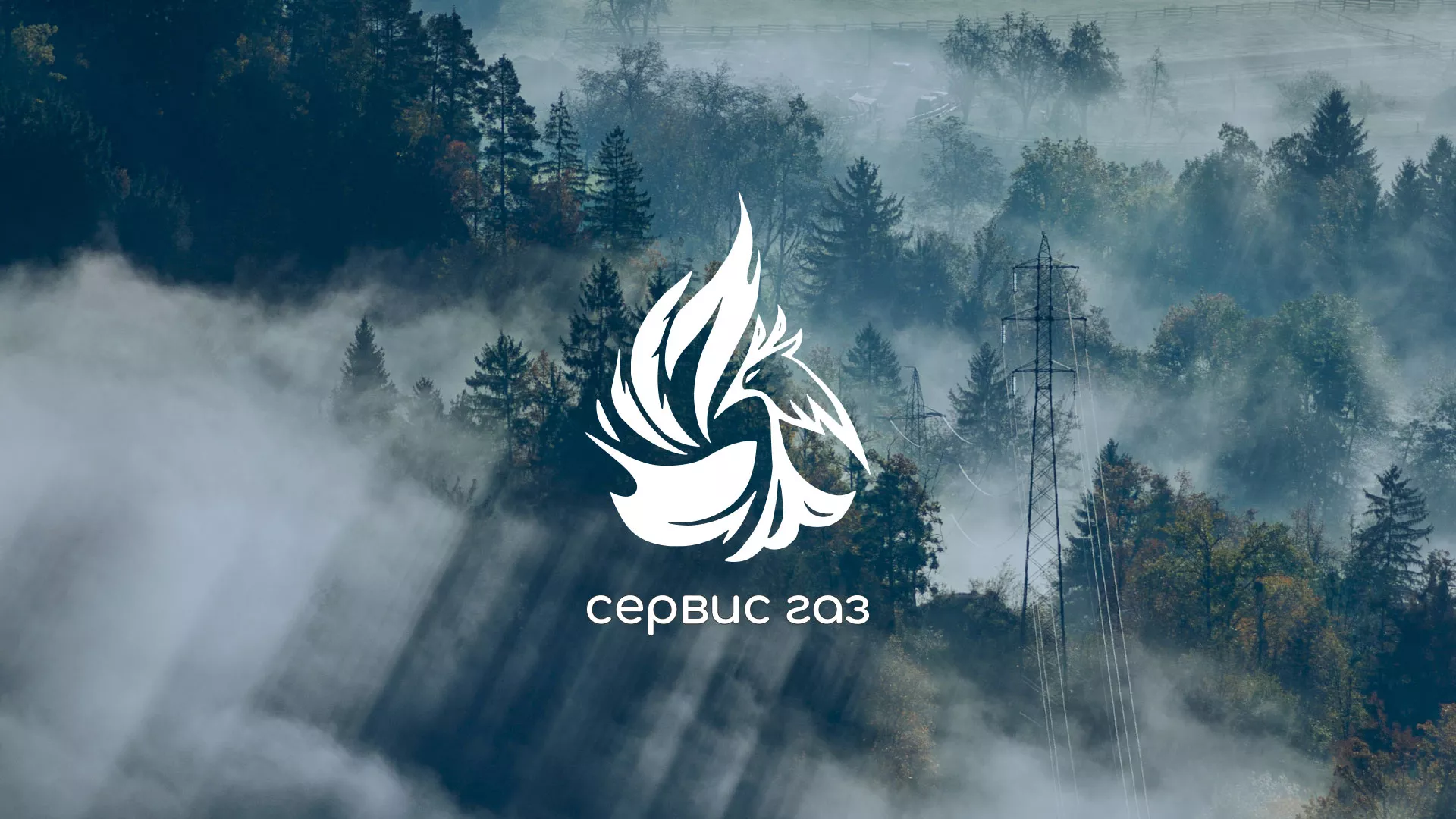 Создание сайта компании «Сервис газ» в Дмитриеве