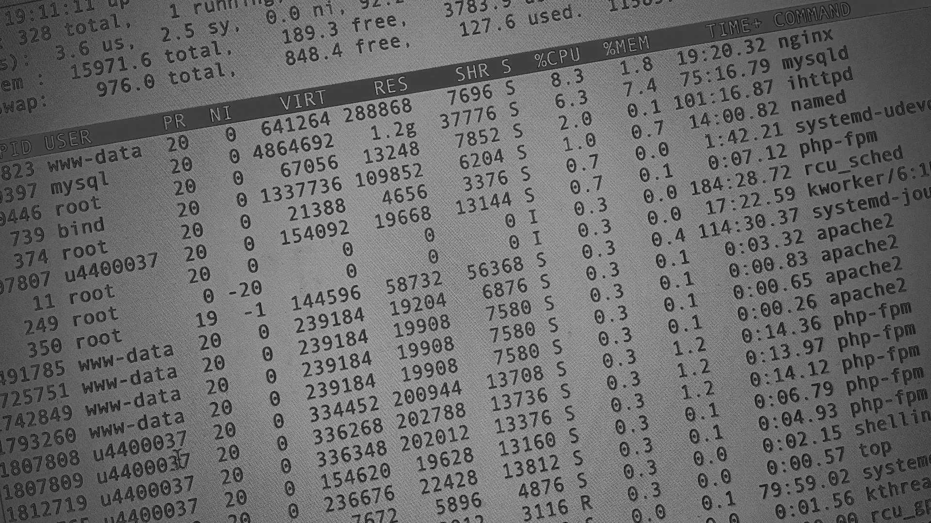 Настройка сервера в Дмитриеве