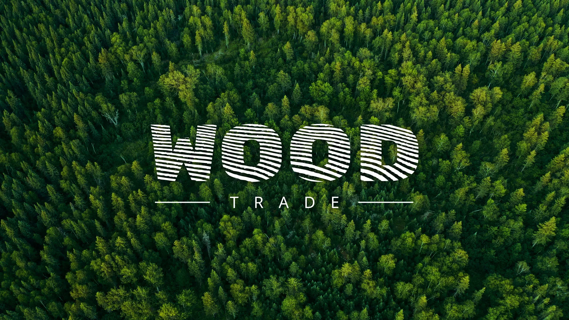 Разработка интернет-магазина компании «Wood Trade» в Дмитриеве