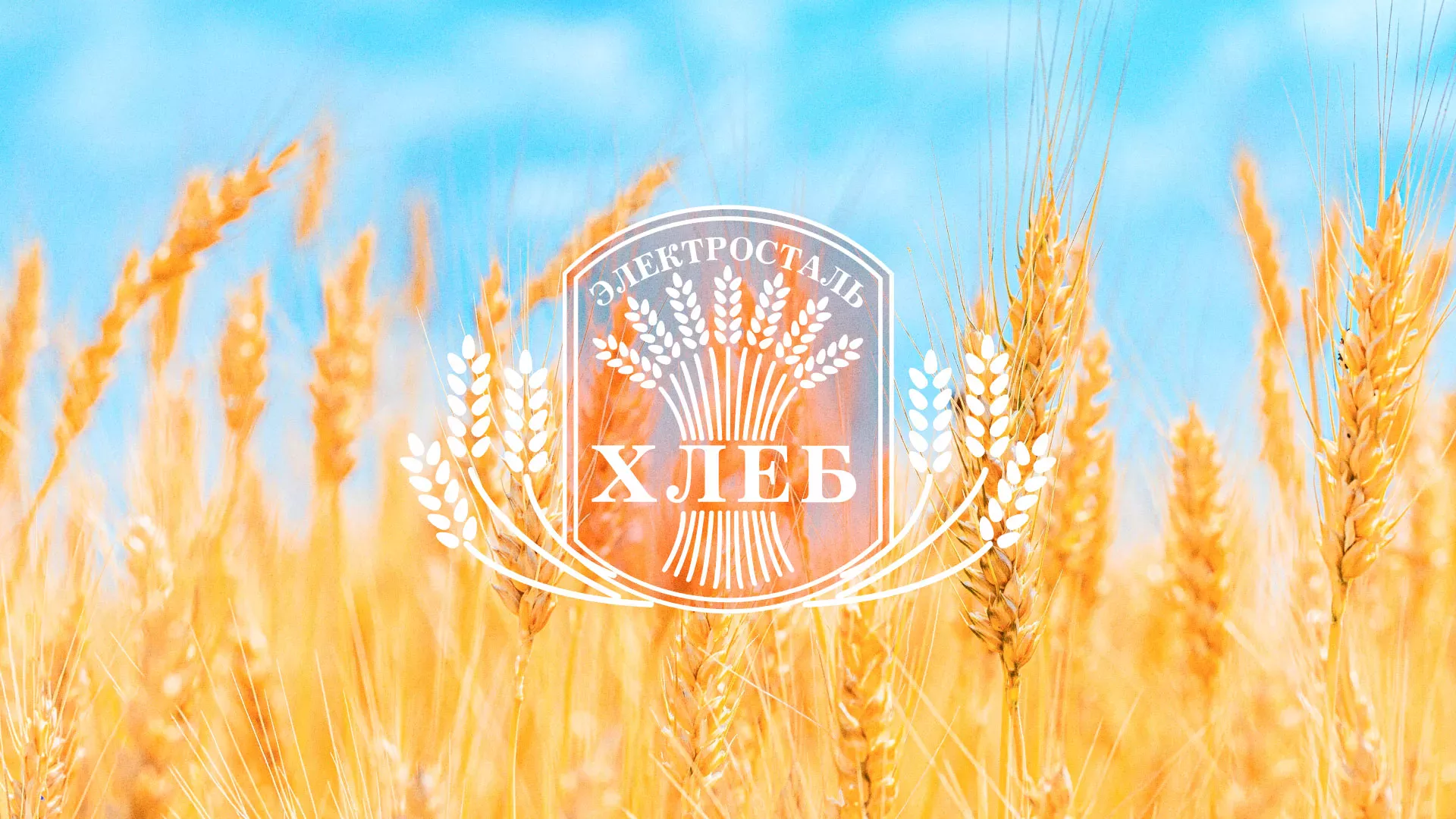 Создание сайта для хлебзавода в Дмитриеве